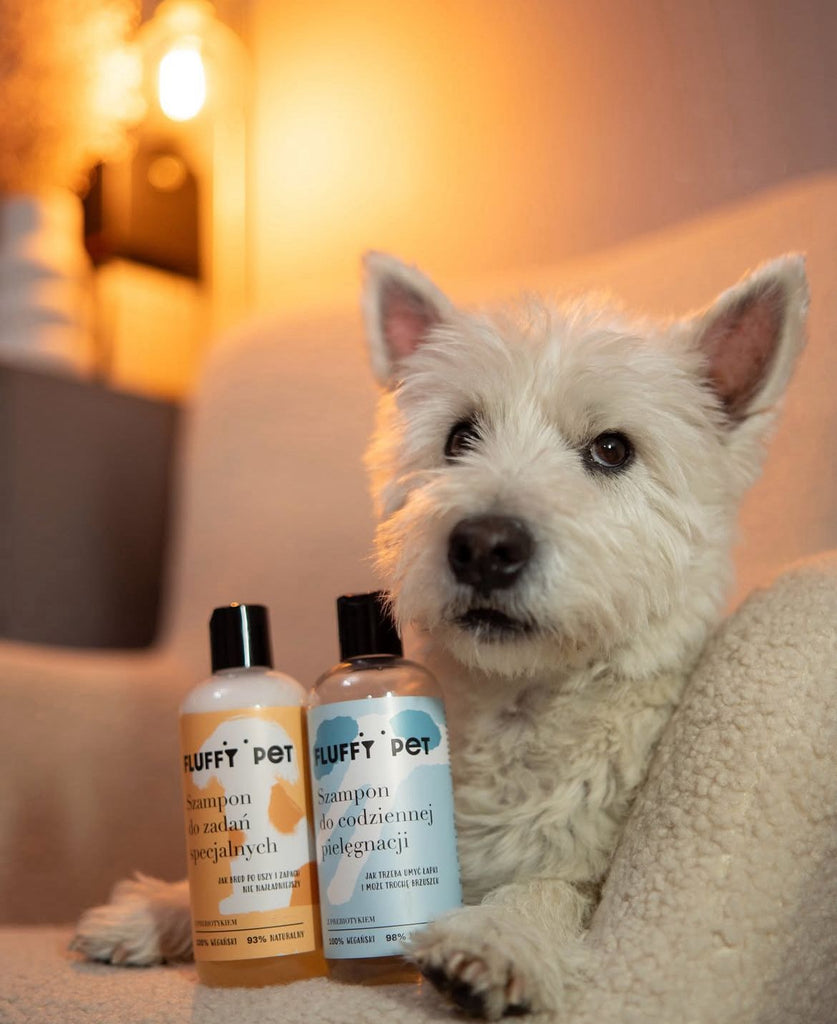 Jak prebiotyki wspierają naturalną odporność skóry i sierści psa?